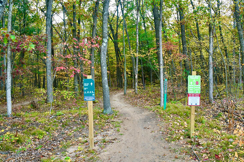 Mosquito Creek Trails